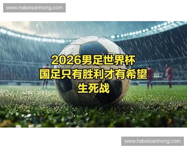 2026世界杯比利时酒店安排及赛程详情全解析