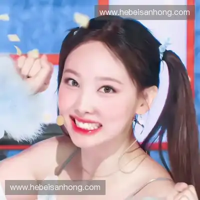 支宏聪